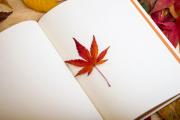 maple-leaf-6380221920